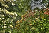 tannenfeld-sommer 2012-032